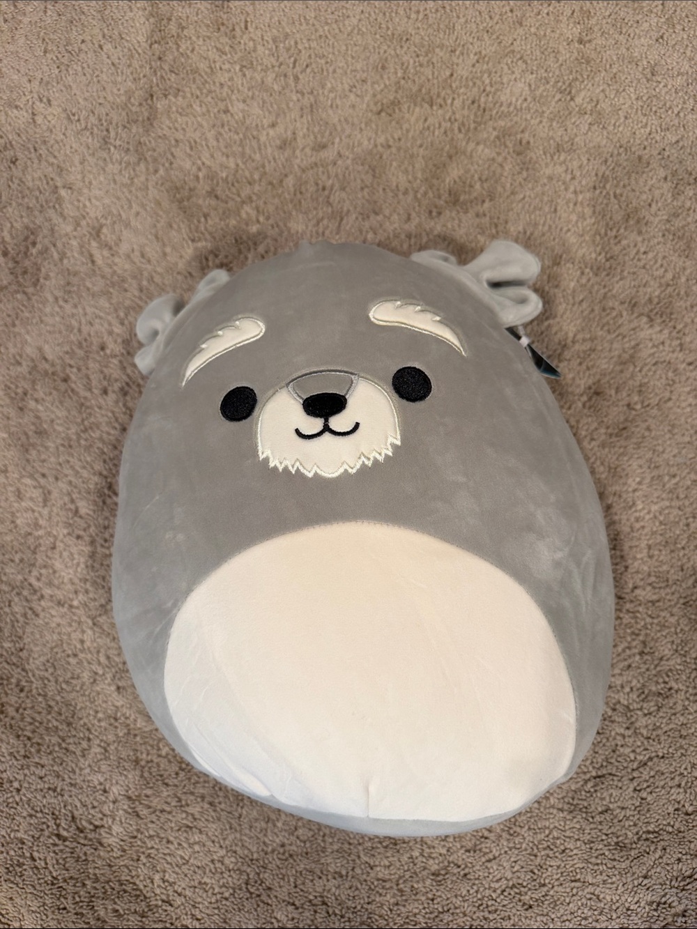 New! 12” Shaun Squishmallow